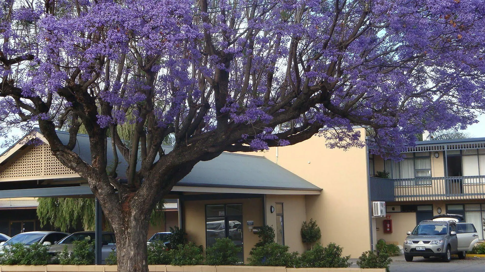Welcome Inn 277 Adelaide