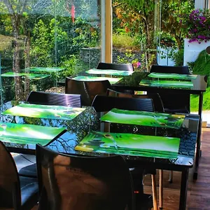 https://casa-nube.kerala-hotels.net